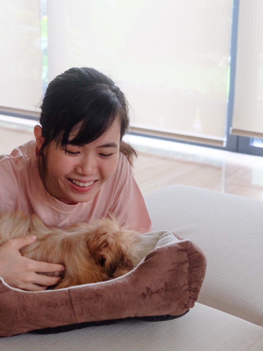 Day in my life: reviewing for GMAT, online biz, new puppy, fresh hair, and more | Notion&nbsp;Series